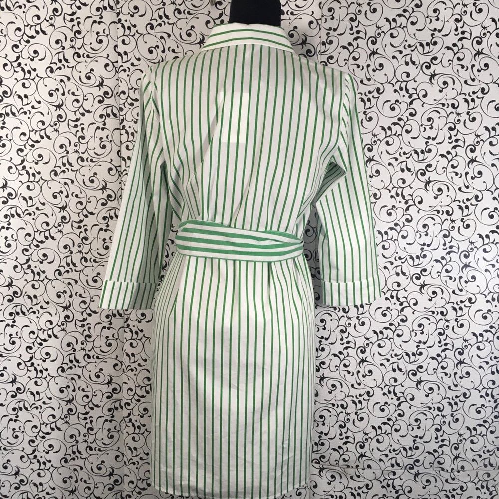 1901 Green/ White Stripe Shirt Dress - Picture 3 of 7